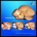 ISO Advanced Difficult Labor Model, Childbirth Simulator,delivery simulator